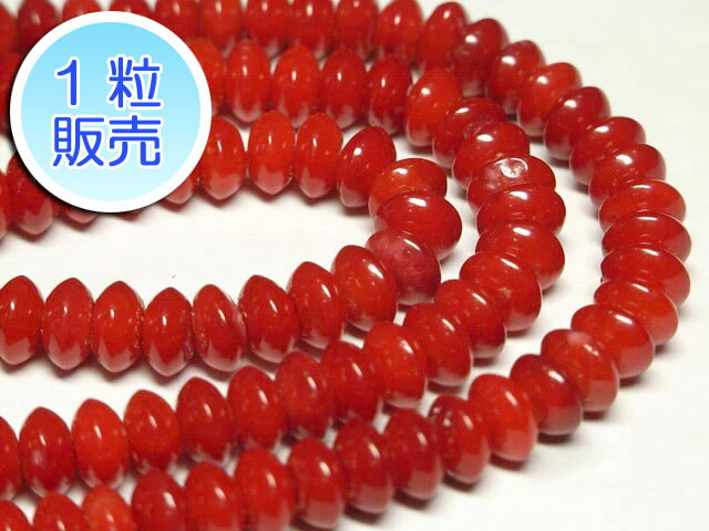 ����ӡ��� ��5��3mm ��1γ����� �����Ф� coral �ѥ���ȡ��� ���������꡼�ѡ��� �ϥ�ɥᥤ��