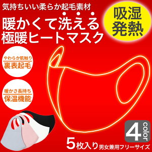 極暖 あったかマスク 5枚入り 表裏フリース素材で瞬間あったか 暖かいマスク 洗えるマスク 温感マスク 吸湿発熱 ヒートマスク 普通サイズ 男性用 大きめ女性用 大人用 ネコポス 送料無料