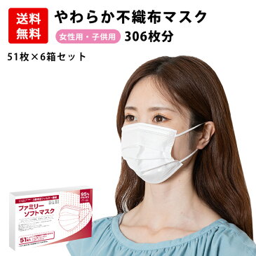 マスク 306枚分 50枚 +1枚 × 6セット 小さめ 女性用 子供用 小さいサイズ 送料無料 耳が痛くならない PFE・BFE95％カット 白 ホワイト 箱 立体3層不織布 高密度フィルター プリーツ 女性用マスク 子供用マスク レディース あす楽 送料無料