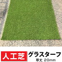 人工芝グラスターフ20 幅1m×長さ10m 1ロール 芝丈20mm 静電気抑制 抗菌 高耐久UV加工 湿気に強い 国内メーカー お庭ガーデニングDIY 送料無料