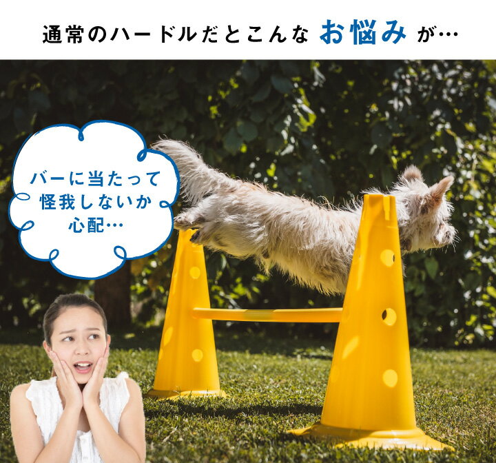 �ڤ��餫�߷ס� ��Ϣ³ķ�������� �ɥå�������ƥ��ϡ��ɥ� ���եȥϡ��ɥ� 5�楻�åȥߥ˥ϡ��ɥ� �꥿����ϡ��ɥ� �����ץϡ��ɥ� ������ƥ��ȥ졼�˥� �ɥå���� �ڥå� ���Ĥ� ���ѥϡ��ɥ� ���ѥȥ졼�˥� ������ �㳲ʪ ��ư��� �� ���� ���� ������