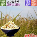 【新米】令和5年産 特別栽培米 コシヒカリ 15kg 送料無料 玄米 埼玉県知事認定地域指導農家エコファーマー 農家直送 特別栽培米 こしひかり kosihikari koshihikari 選べる 1分づき(粗挽き) 3分づき 5分づき 7分づき 白米