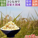 【新米】令和5年産 特別栽培米 コシヒカリ 25kg 送料無料 玄米 埼玉県知事認定地域指導農家エコファーマー 農家直送 特別栽培米 こしひかり kosihikari koshihikari 選べる 1分づき(粗挽き) 3分づき 5分づき 7分づき 白米