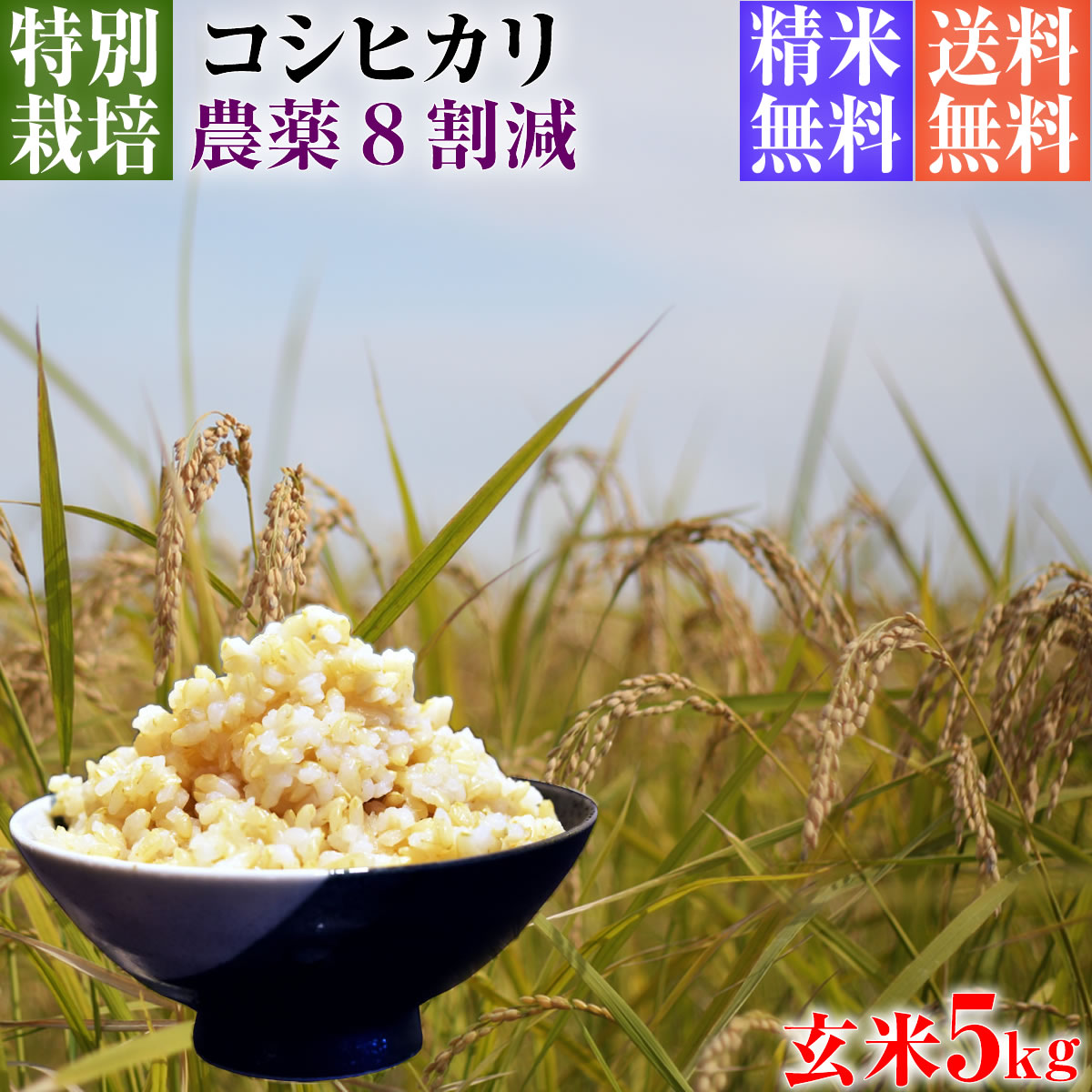 令和5年産 特別栽培米 コシヒカリ 5kg 送料無料 玄米 埼玉県知事認定地域指導農家エコファーマー 農家直送 特別栽培米 こしひかり kosihikari koshihikari 選べる 1分づき(粗挽き) 3分づき 5分づき 7分づき 白米