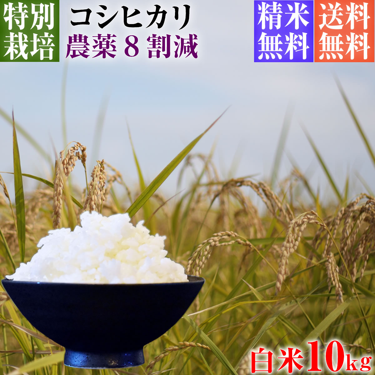 令和5年産 特別栽培米 コシヒカリ 10kg 送料無料 白米 埼玉県知事認定地域指導農家エコファーマー 農家直送 特別栽培米 こしひかり kosihikari koshihikari 選べる 1分づき 粗挽き 3分づき 5分…