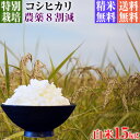 【新米】令和5年産 特別栽培米 コシヒカリ 15kg 送料無料 白米 埼玉県知事認定地域指導農家エコファーマー 農家直送 特別栽培米 こしひかり kosihikari koshihikari 選べる 1分づき(粗挽き) 3分づき 5分づき 7分づき 白米 1