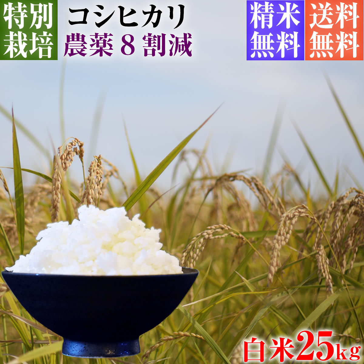 【新米】令和5年産 特別栽培米 コシヒカリ 25kg 送料無料 白米 埼玉県知事認定地域指導農家エコファーマー 農家直送 特別栽培米 こしひかり kosihikari koshihikari 選べる 1分づき(粗挽き) 3分づき 5分づき 7分づき 白米