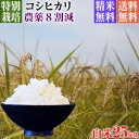 令和3年産 特別栽培米 コシヒカリ 25kg 送料無料 白米 埼玉県知事認定地域指導農家エコファーマー 農家直送 特別栽培米 こしひかり kosihikari koshihikari 選べる 1分づき(粗挽き) 3分づき 5分づき 7分づき 白米