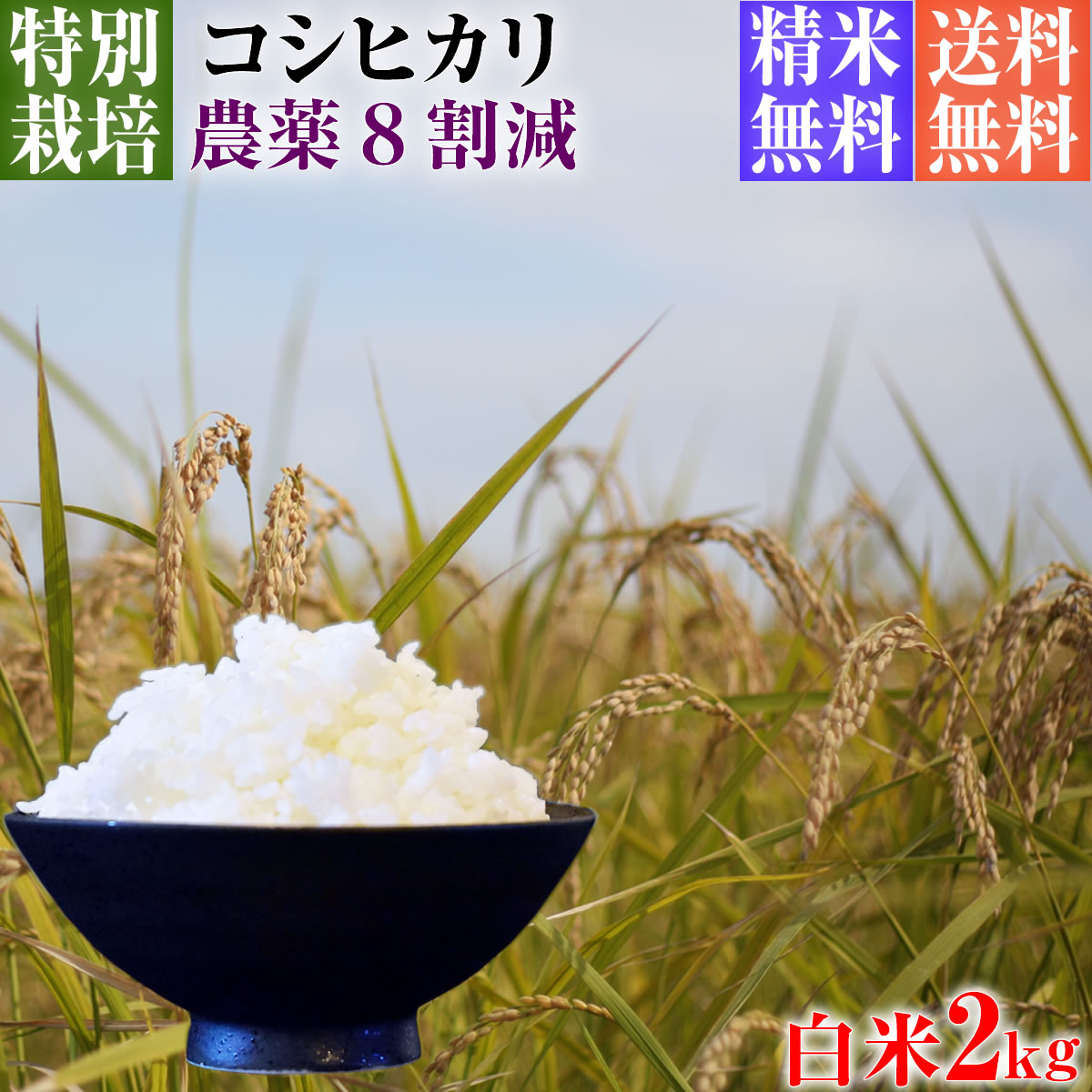 令和5年産 特別栽培米 コシヒカリ お試し 2kg 送料無料 白米 埼玉県知事認定地域指導農家エコファーマー 農家直送 特別栽培米 こしひかり kosihikari koshihikari 選べる 1分づき(粗挽き) 3分づき 5分づき 7分づき