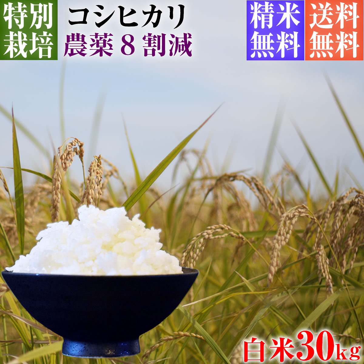 【新米】令和5年産 特別栽培米 コシヒカリ 30kg 送料無料 白米 埼玉県知事認定地域指導農家エコファーマー 農家直送 特別栽培米 こしひかり kosihikari koshihikari 選べる 1分づき(粗挽き) 3分づき 5分づき 7分づき