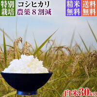 コシヒカリ,30年産,新米,減農薬栽培米,コシヒカリ,10kg,送料無料,白米