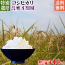 【新米】令和5年産 特別栽培米 コシヒカリ 10kg 送料無料 無洗米 埼玉県知事認定地域指導農家エコファーマー 農家直送 特別栽培米 こしひかり kosihikari koshihikari