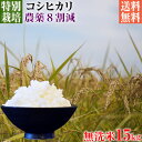 【新米】令和5年産 特別栽培米 コシヒカリ 15kg 送料無料 無洗米 埼玉県知事認定地域指導農家エコファーマー 農家直送 特別栽培米 こしひかり kosihikari koshihikari