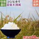 【新米】令和5年産 特別栽培米 コシヒカリ 20kg 送料無料 無洗米 埼玉県知事認定地域指導農家エコファーマー 農家直送 特別栽培米 こしひかり kosihikari koshihikari