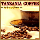 ★★キリマンジャロ（タンザニアAA） 500g　　人気商品　数量限定　コーヒー豆　珈琲豆　珈琲【RCP】【T】