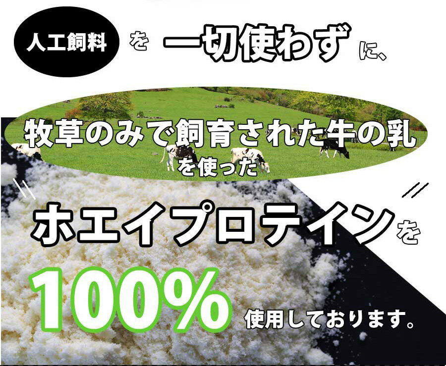 送料無料 ストロベリー グラスフェッドプロテイ...の紹介画像3