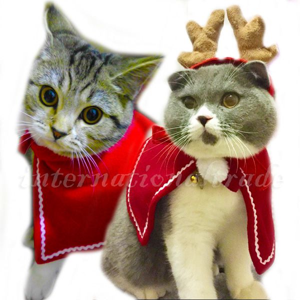 予約 ペットコスプレ クリスマス パーティー サンタ帽子 サンタマント トナカイ 犬コスプレ 猫コスプレ ペットグッズ コスチューム 衣装 小型犬 中型犬 大型犬 サンタクロース コスチューム 仮装 キャットウェア ドッグウェア