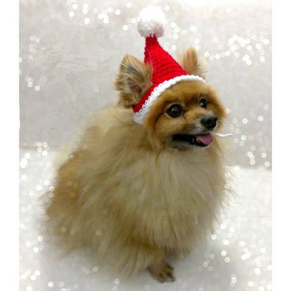 予約 ペット ペットコスプレ クリスマスサンタ帽子 大型犬OK 【納期約】