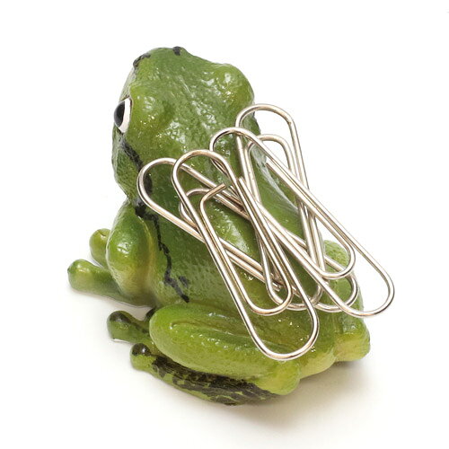 REPTILES MAG TREE FROG ...の紹介画像2