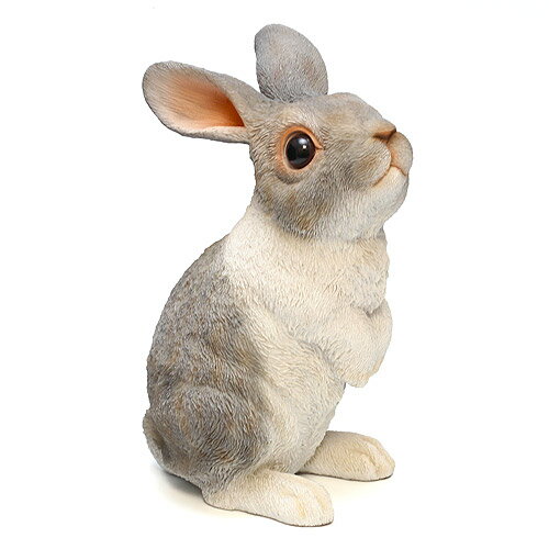 PET BANK RABBIT STAND　（ペット バンク ラビット スタンド） 【AS】