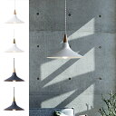 WAVE PENDANT LIGHT@iEF[u y_g Cgj AW-0560 yz y|Cg10{z yAWSz