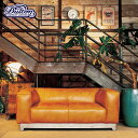 【ダルトン DULTON】 TMASTER SOFA BROWN 2SEATERY (マスター ソファ ブラウン 2シーター) GM-0405 【送料無料】 【P10B-DT】