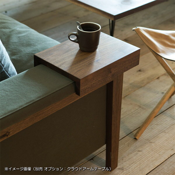 【SWITCH】 CLOUD CHAISE LONGUE SOFA 2.5P S-SERIES-2 (クラウド シェーズ ロング ソファ 2.5人掛 S-シリーズ-2) 【送料無料】【SWP10B】 [3]