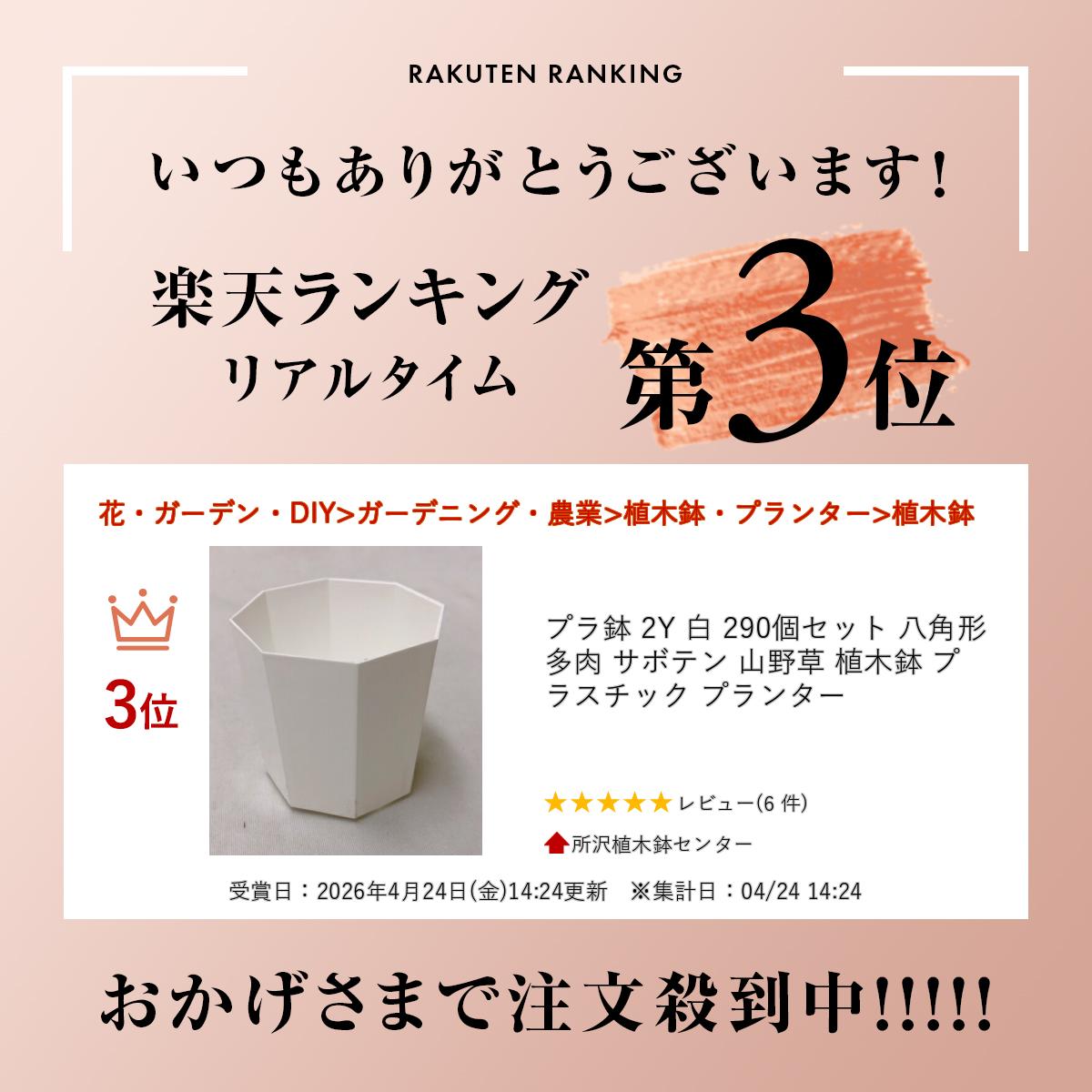 プラ鉢 2Y 白 290個セット 八角形 多肉 サボテン 山野草 植木鉢 プラスチック プラ...