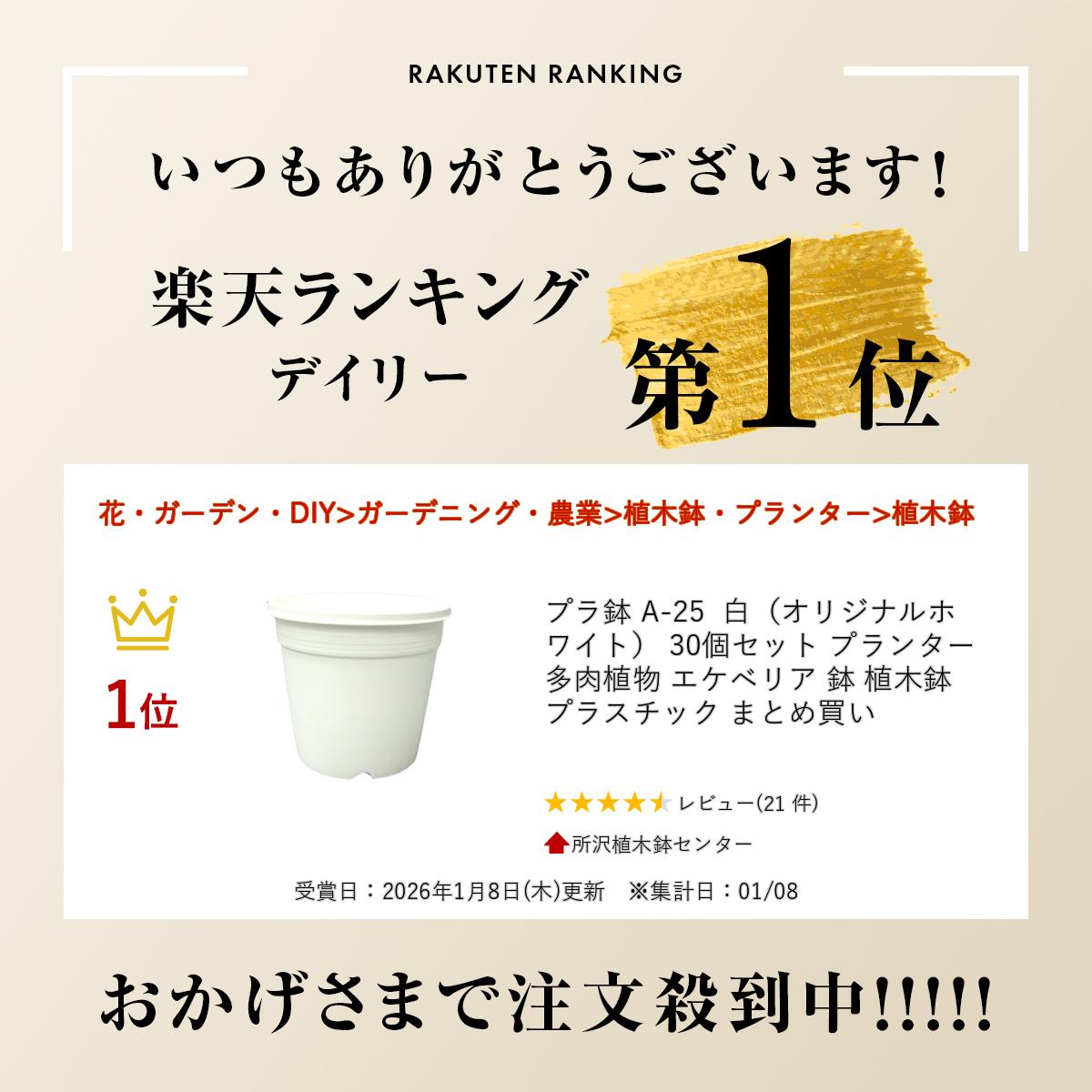プラ鉢 A-25 白（オリジナルホワイト） 30個セット プランター 多肉植物 エケベリア 鉢 植木鉢 プラスチック まとめ買い