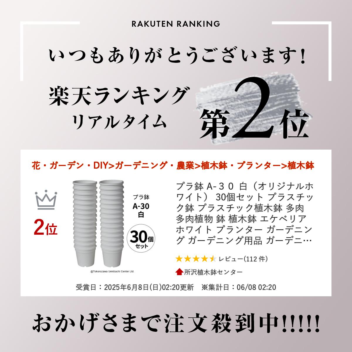 プラ鉢 A-30 白（オリジナルホワイト） 30個セット プラスチック鉢 プラスチック植木鉢 多肉 多肉植物 鉢 植木鉢 エケベリア ホワイト プランター ガーデニング ガーデニング用品 ガーデニング鉢植え ガーデニング植木鉢 大量 セット まとめ買い