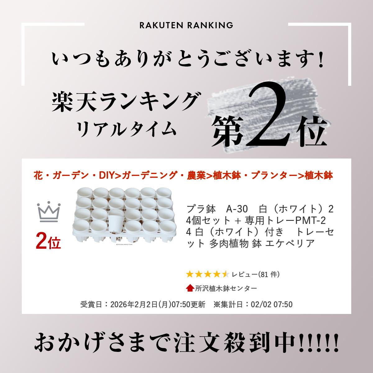 プラ鉢　A-30　白（ホワイト）24個セット + 専用トレーPMT-24 白（ホワイト）付き　トレーセット 多肉植物 鉢 エケベリア