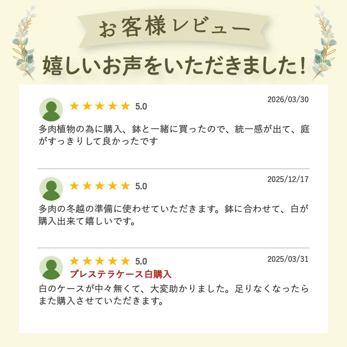 システムトレー　24穴　白（ホワイト）　90CS　プレステラ90対応 多肉植物 鉢 エケ...