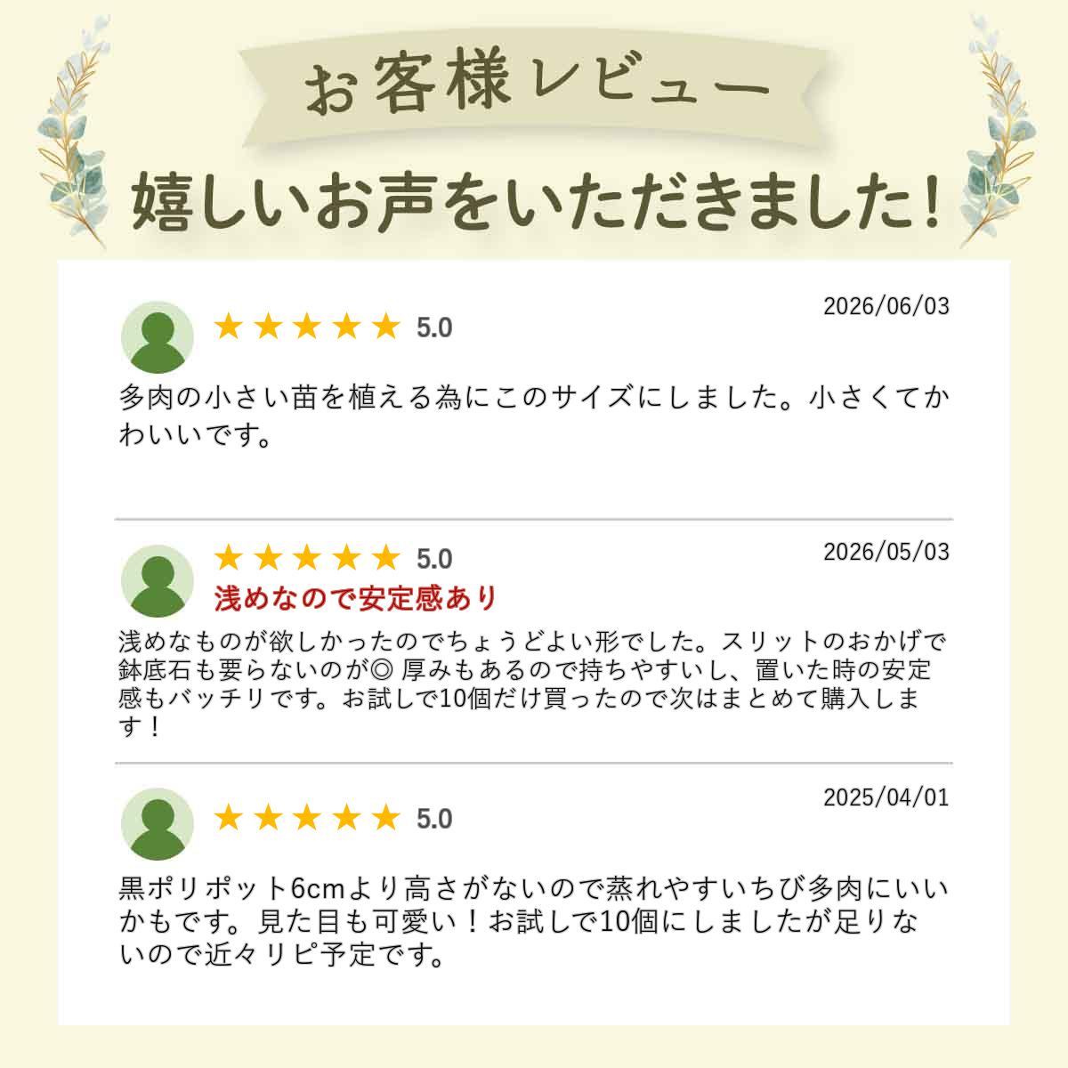 Sポット 白 6cm スリット鉢 プラ鉢 10個セット 多肉 植木鉢 プラスチック プランター