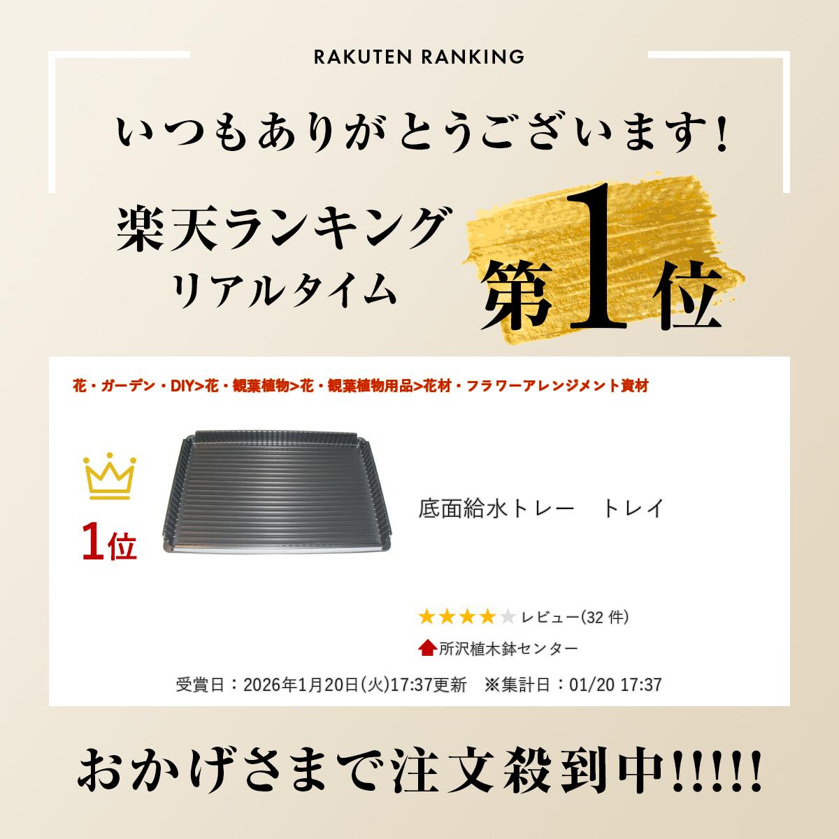 サンプル画像2