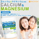 カルシウム＆マグネシウム 粉末 900g 【送料無料】【メール便で郵便ポストにお届け】【代引不可】【時間指定不可】 栄養機能食品 2:1 理想の配合バランス 骨や歯の形成に必要な栄養素 [01] NICHIGA(ニチガ) 3