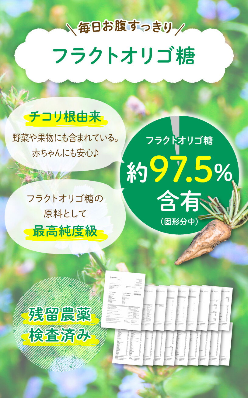 フラクトオリゴ糖 1kg 天然 チコリ由来 【送料無料】【メール便で郵便ポストにお届け】【代引不可】【時間指定不可】 粉末タイプ 約97.5%含有 [01] NICHIGA(ニチガ)