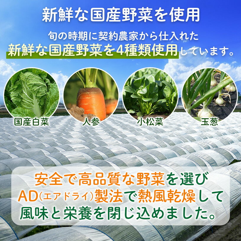 国産野菜白菜ミックス 200g 【送料無料】【メール便で郵便ポストにお届け】【代引...