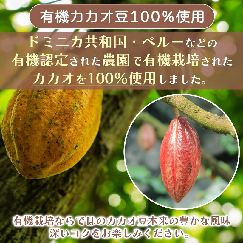 オーガニック ココアパウダー 1.5kg 【送料無料】 香料不使用・砂糖不使用 有機 JAS ココア NICHIGA(ニチガ) TK0