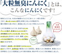 大粒無臭にんにく・ホワイト粒 200g（約2000粒入り） 【送料無料(沖縄を除く)】 長野県の農家で大切に育てられた大粒無臭にんにくサプリメント [02] NICHIGA(ニチガ) 3