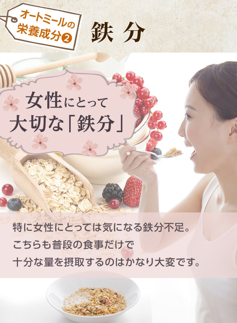 オートミール500g