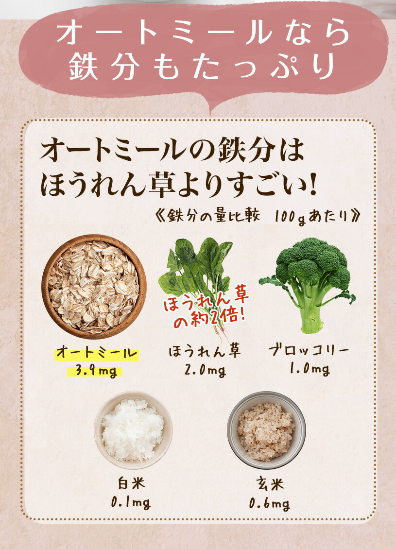 オートミール500g