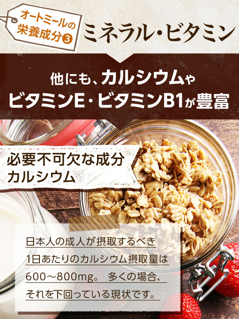 オートミール500g