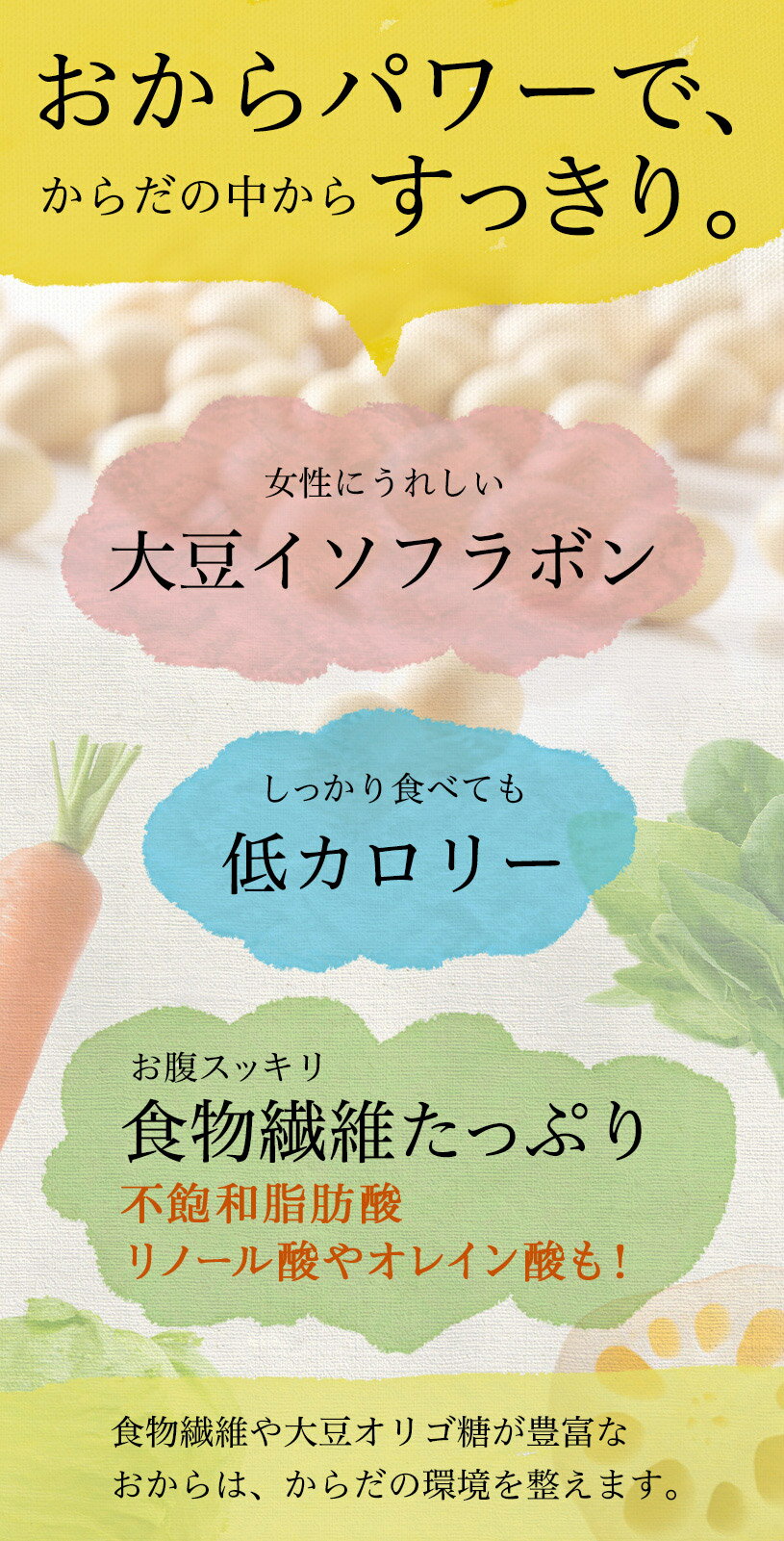 おからパウダー（超微粉）国内製造品 2kg IP管理大豆使用 (分別生産流通管理) グルテンフリー 食物繊維豊富 タンパク質豊富 NICHIGA(ニチガ) TK1 3