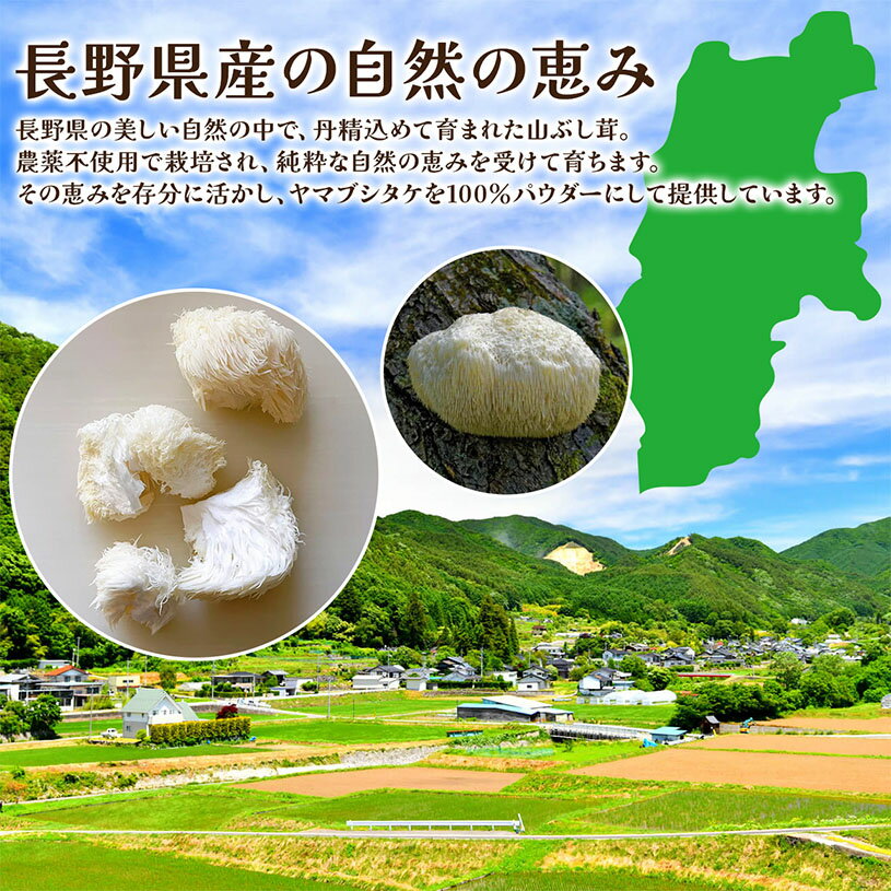 国産やまぶし茸粉末 100g 【送料無料】【メール便で郵便ポストにお届け】【代引不可】【時間指定不可】 栽培期間中農薬不使用 甘味料不使用、保存料不使用、着色料不使用、香料不使用 山伏茸100％ [04] NICHIGA(ニチガ) 3