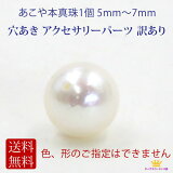  ̵ ѡ 1  ܿ ݥȾò ̵ 5.5mm8.5mm   ꡼ѡ ꤢ ե ץ쥼 pearl-1pce