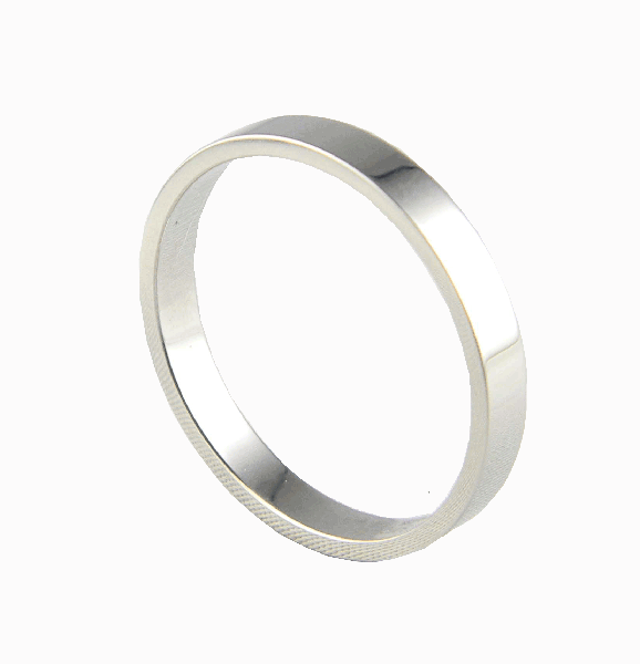 ステンレスリング・スリムシルバー指輪/ロック メンズ ユニセックス/メール便可【ギフト包装無料】