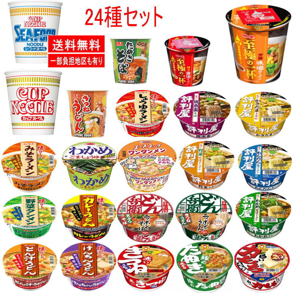 新着 マルちゃん 日清食品 明星食品 エースコック 大黒食品 ヤマダイ レギュラーサイズカップ麺 24個セット 送料無料