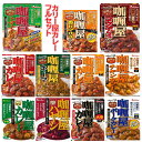 新着 即食 時短食 レトルトパックセット ハウス食品 ハウス カリー屋カレー 10食 カレー 三昧 関東圏送料無料 - 広島屋