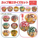 新着 にぎわい広場 日清食品 日清どん兵衛 ファミリーセット 天ぷらそば(西) きつね(西) カレー(西) かき揚げ 鴨だし 肉うどん そうめん ミニ・レギュラ...