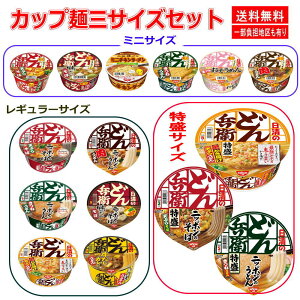 新着 にぎわい広場 日清食品 日清どん兵衛 ファミリーセット 天ぷらそば(西) きつね(西) カレー(西) かき揚げ 鴨だし 肉うどん そうめん ミニ・レギュラー・特盛サイズ 送料無料